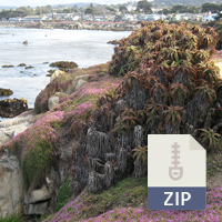 downloads_bigsur
